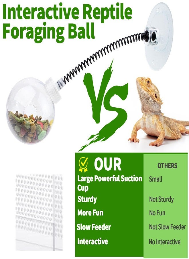 FlidRunest Bearded Dragon Toy Ball with Large Suction Cup, Interactive Bearded Dragon Spring Ball Toy, Reptile Insects Treat Enrichment Feeding Ball Toy for Lizard, Bearded Dragon - Image 2